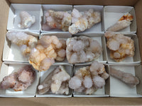 Natural Amethyst Spirit Quartz Clusters x 12 From Boekenhouthoek, South Africa - Toprock Gemstones and Minerals 