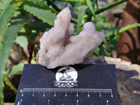 Natural Amethyst Spirit Quartz Clusters x 12 From Boekenhouthoek, South Africa - Toprock Gemstones and Minerals 
