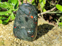 Polished Bloodstone Standing Free Forms x 2 From Swaziland