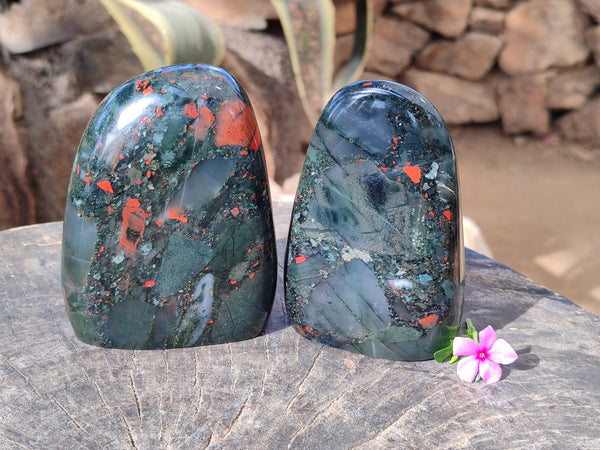 Polished Bloodstone Standing Free Forms x 2 From Swaziland