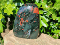 Polished Bloodstone Standing Free Forms x 2 From Swaziland
