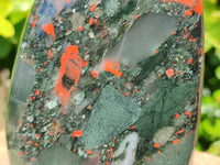 Polished Bloodstone Standing Free Forms x 2 From Swaziland