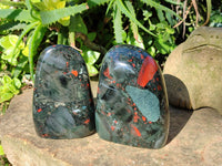 Polished Bloodstone Standing Free Forms x 2 From Swaziland