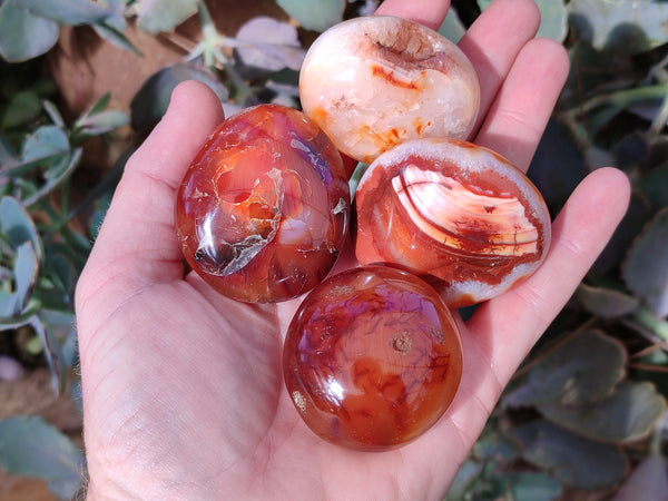 Polished Carnelian Palm Stones x 12 From Madagascar