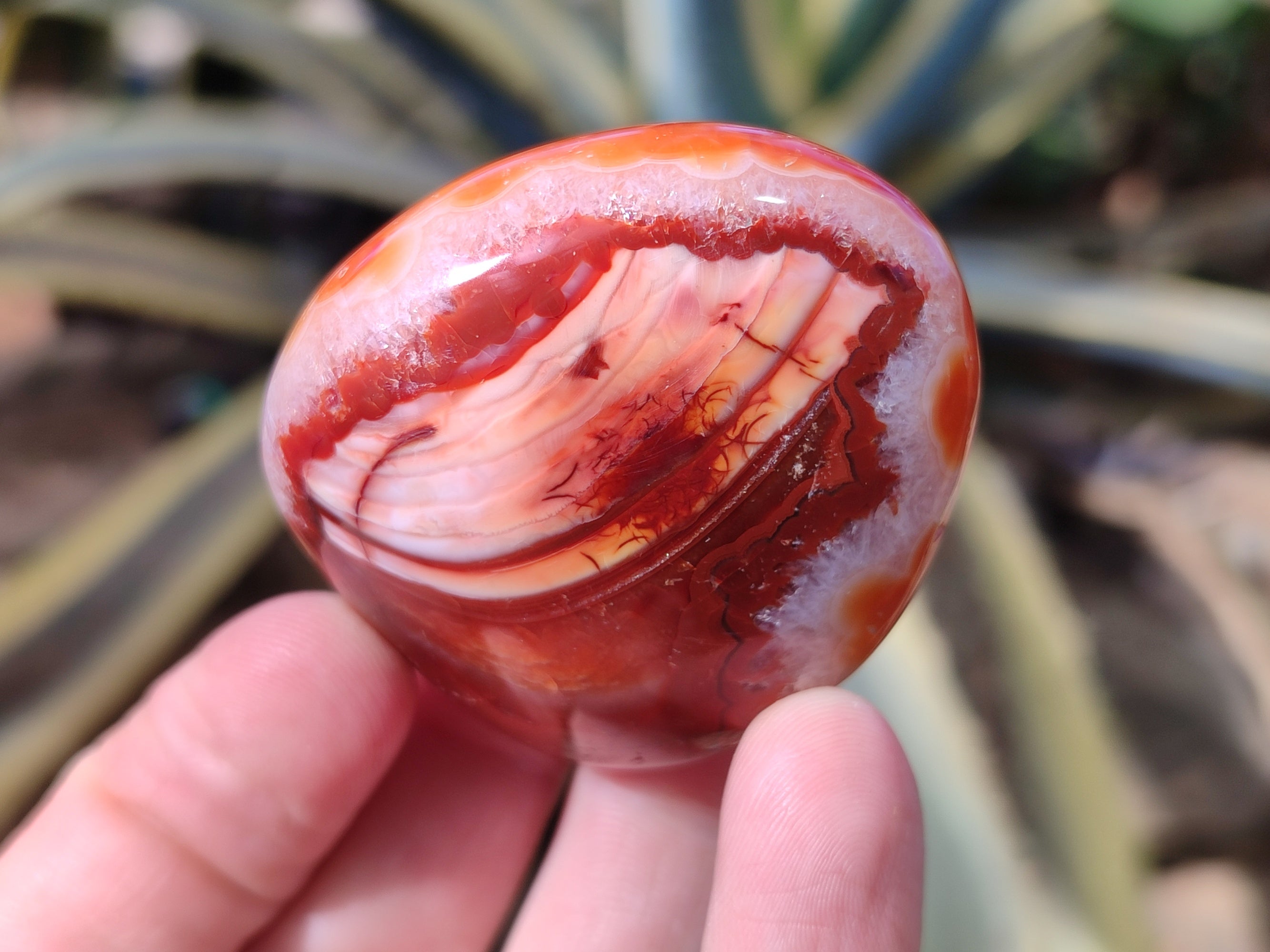 Polished Carnelian Palm Stones x 12 From Madagascar - Toprock Gemstones and Minerals 