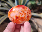 Polished Carnelian Palm Stones x 12 From Madagascar - Toprock Gemstones and Minerals 