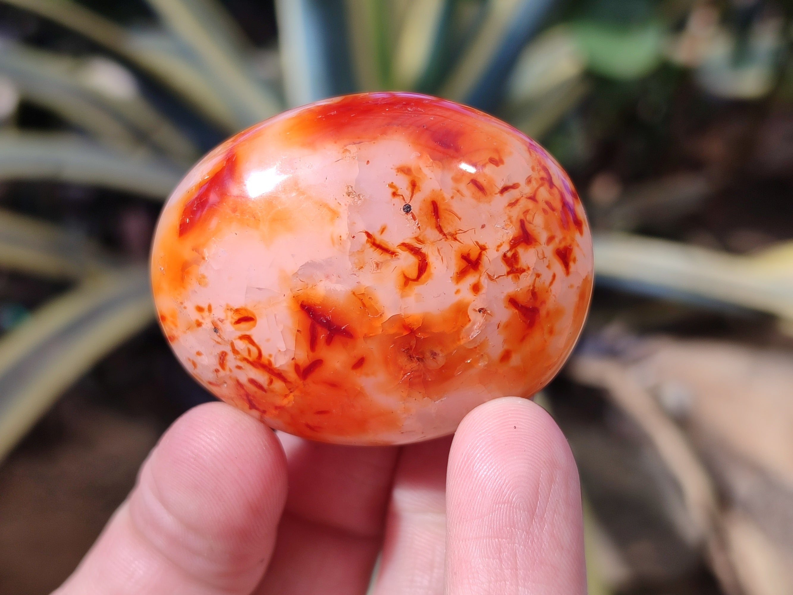 Polished Carnelian Palm Stones x 12 From Madagascar - Toprock Gemstones and Minerals 