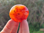 Polished Carnelian Palm Stones x 12 From Madagascar - Toprock Gemstones and Minerals 