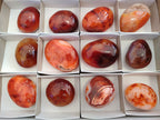 Polished Carnelian Palm Stones x 12 From Madagascar - Toprock Gemstones and Minerals 