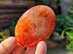 Polished Carnelian Palm Stones x 12 From Madagascar - Toprock Gemstones and Minerals 