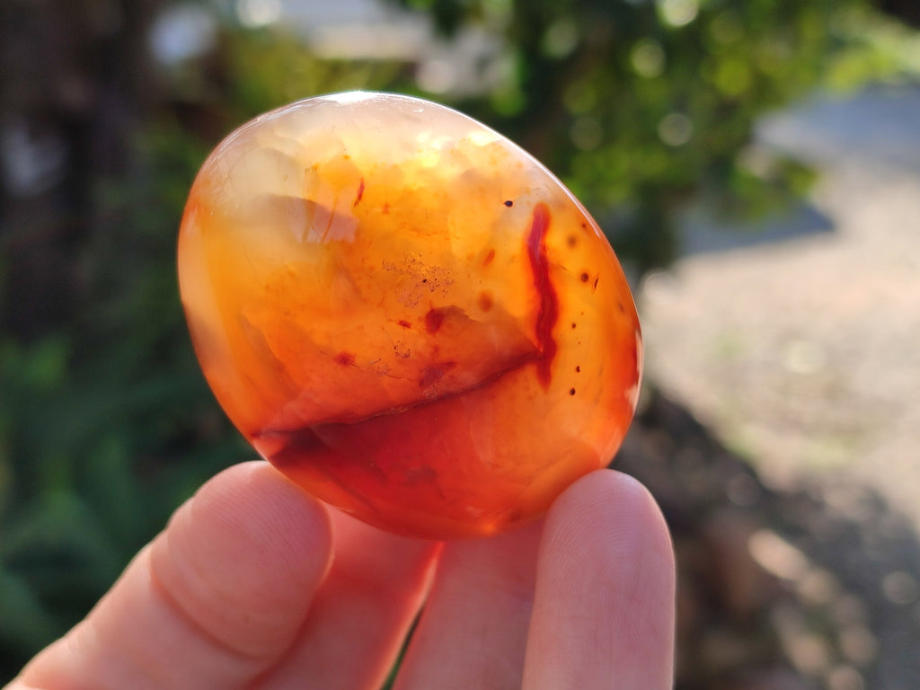 Polished Carnelian Palm Stones x 12 From Madagascar - Toprock Gemstones and Minerals 