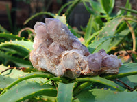 Natural Smokey Amethyst Spirit Quartz Clusters x 6 From Boekenhouthoek, South Africa