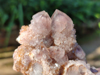 Natural Smokey Amethyst Spirit Quartz Clusters x 6 From Boekenhouthoek, South Africa