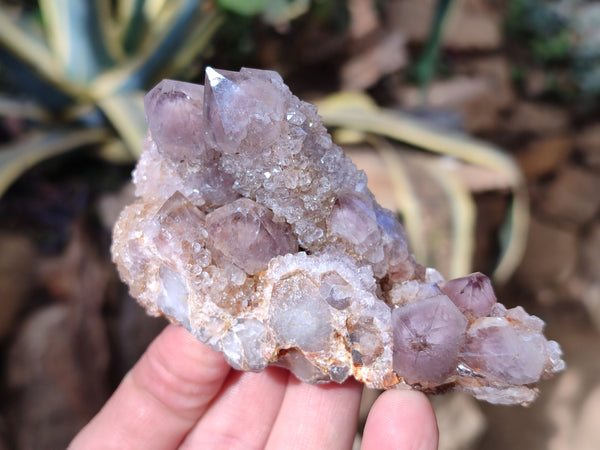 Natural Smokey Amethyst Spirit Quartz Clusters x 6 From Boekenhouthoek, South Africa