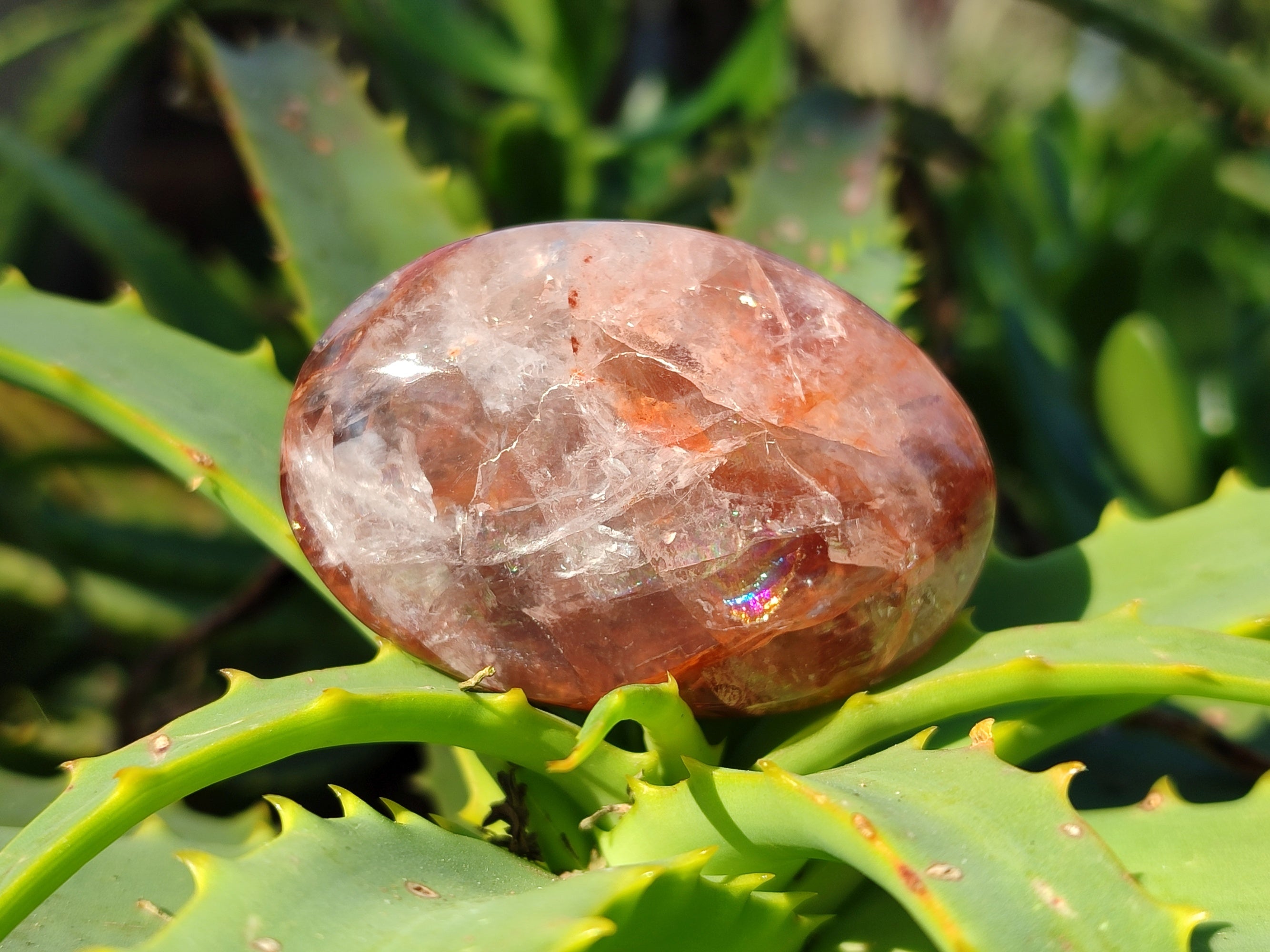 Polished Red Hematoid Quartz Palm Stones x 20 From Ambatondrazaka, Madagascar - Toprock Gemstones and Minerals 