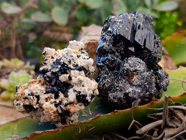 Natural Schorl Black Tourmaline on Orthoclase Matrix with a dash of Hyalite Opal x 6 From Erongo, Namibia - Toprock Gemstones and Minerals 