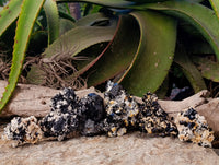 Natural Schorl Black Tourmaline on Orthoclase Matrix with a dash of Hyalite Opal x 6 From Erongo, Namibia - Toprock Gemstones and Minerals 
