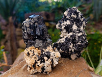 Natural Schorl Black Tourmaline on Orthoclase Matrix with a dash of Hyalite Opal x 6 From Erongo, Namibia - Toprock Gemstones and Minerals 