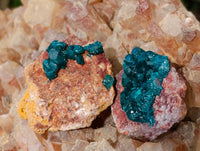Natural Small Dioptase On Dolomite Specimens x 20 From Likasi, Congo - Toprock Gemstones and Minerals 
