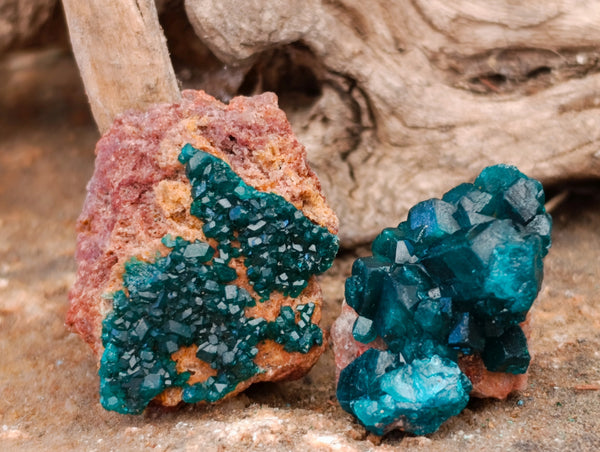 Natural Small Dioptase On Dolomite Specimens x 20 From Likasi, Congo - Toprock Gemstones and Minerals 