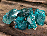 Natural Small Dioptase On Dolomite Specimens x 20 From Likasi, Congo - Toprock Gemstones and Minerals 