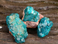 Natural Small Dioptase On Dolomite Specimens x 20 From Likasi, Congo - Toprock Gemstones and Minerals 