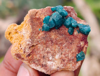 Natural Small Dioptase On Dolomite Specimens x 20 From Likasi, Congo - Toprock Gemstones and Minerals 
