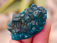 Natural Small Dioptase On Dolomite Specimens x 20 From Likasi, Congo - Toprock Gemstones and Minerals 