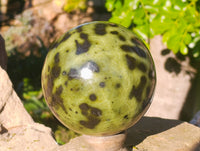 Polished Leopard Stone Sphere x 1 From Nyanga, Zimbabwe