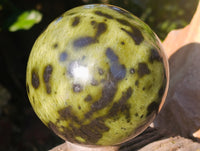 Polished Leopard Stone Sphere x 1 From Nyanga, Zimbabwe