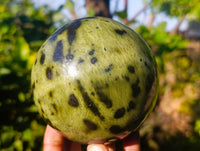 Polished Leopard Stone Sphere x 1 From Nyanga, Zimbabwe