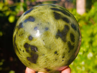 Polished Leopard Stone Sphere x 1 From Nyanga, Zimbabwe