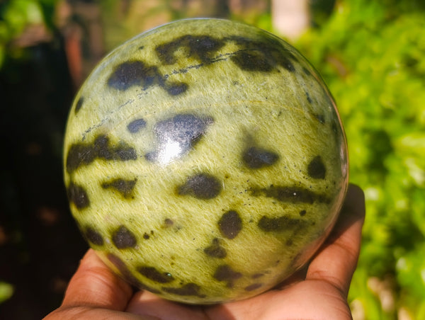 Polished Leopard Stone Sphere x 1 From Nyanga, Zimbabwe