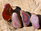 Polished On One Side Red Sashe River Agate Nodules x 35 From Zimbabwe - Toprock Gemstones and Minerals 