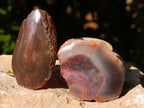 Polished On One Side Red Sashe River Agate Nodules x 35 From Zimbabwe - Toprock Gemstones and Minerals 