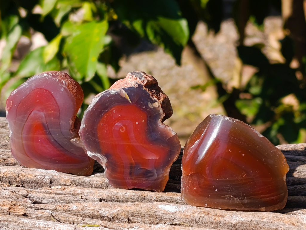 Polished On One Side Red Sashe River Agate Nodules x 35 From Zimbabwe - Toprock Gemstones and Minerals 
