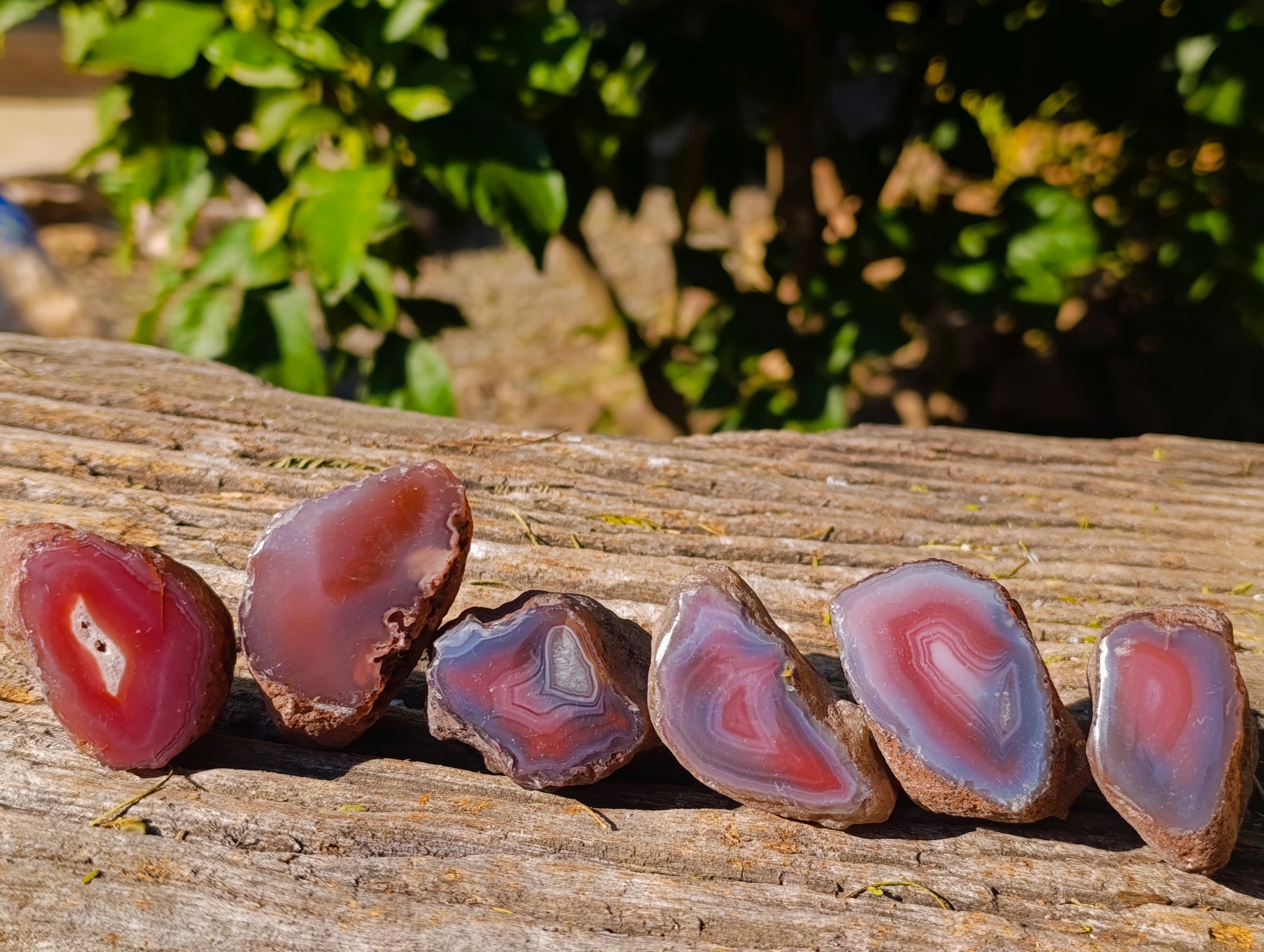 Polished On One Side Red Sashe River Agate Nodules x 35 From Zimbabwe - Toprock Gemstones and Minerals 