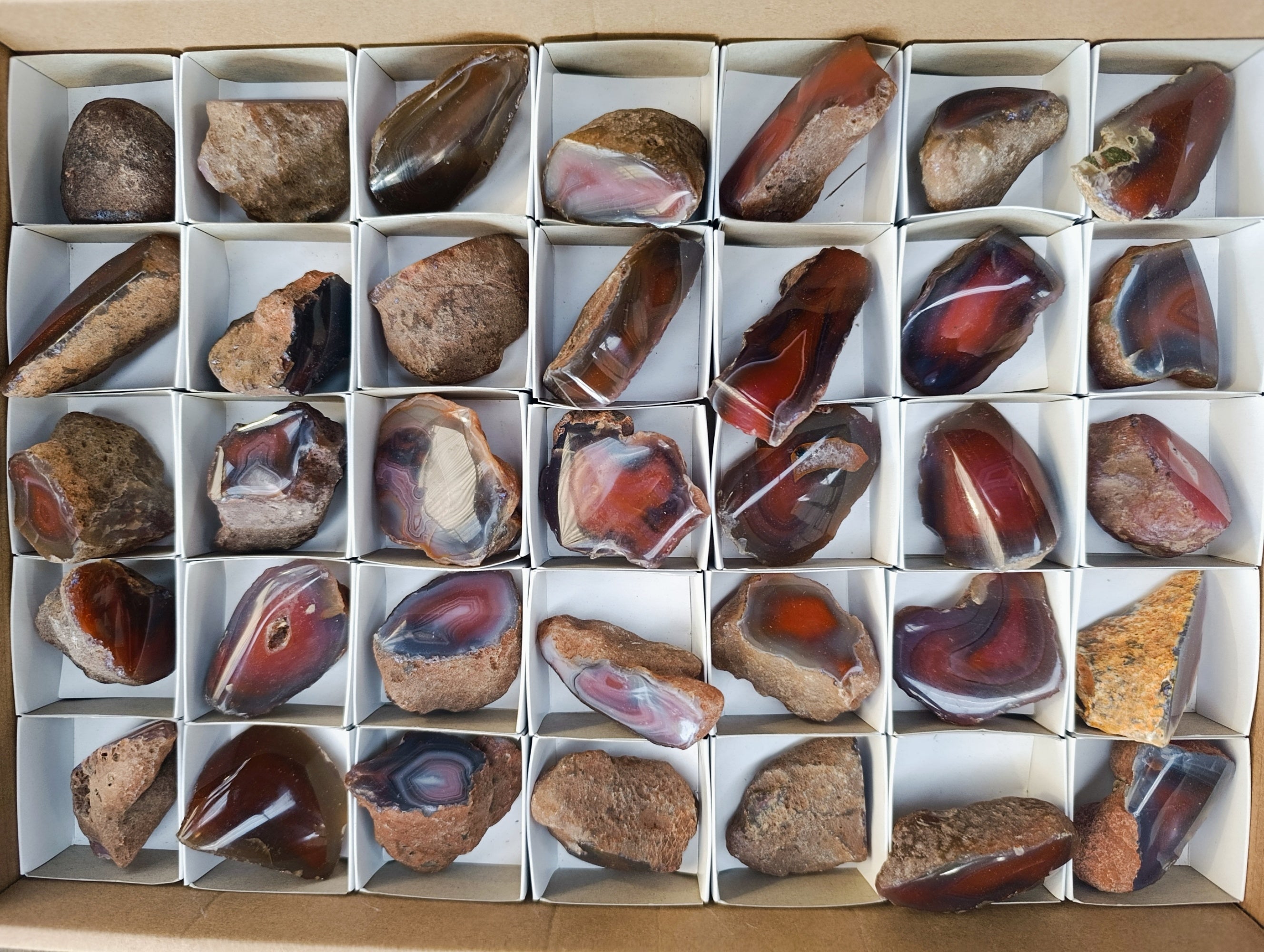 Polished On One Side Red Sashe River Agate Nodules x 35 From Zimbabwe - Toprock Gemstones and Minerals 