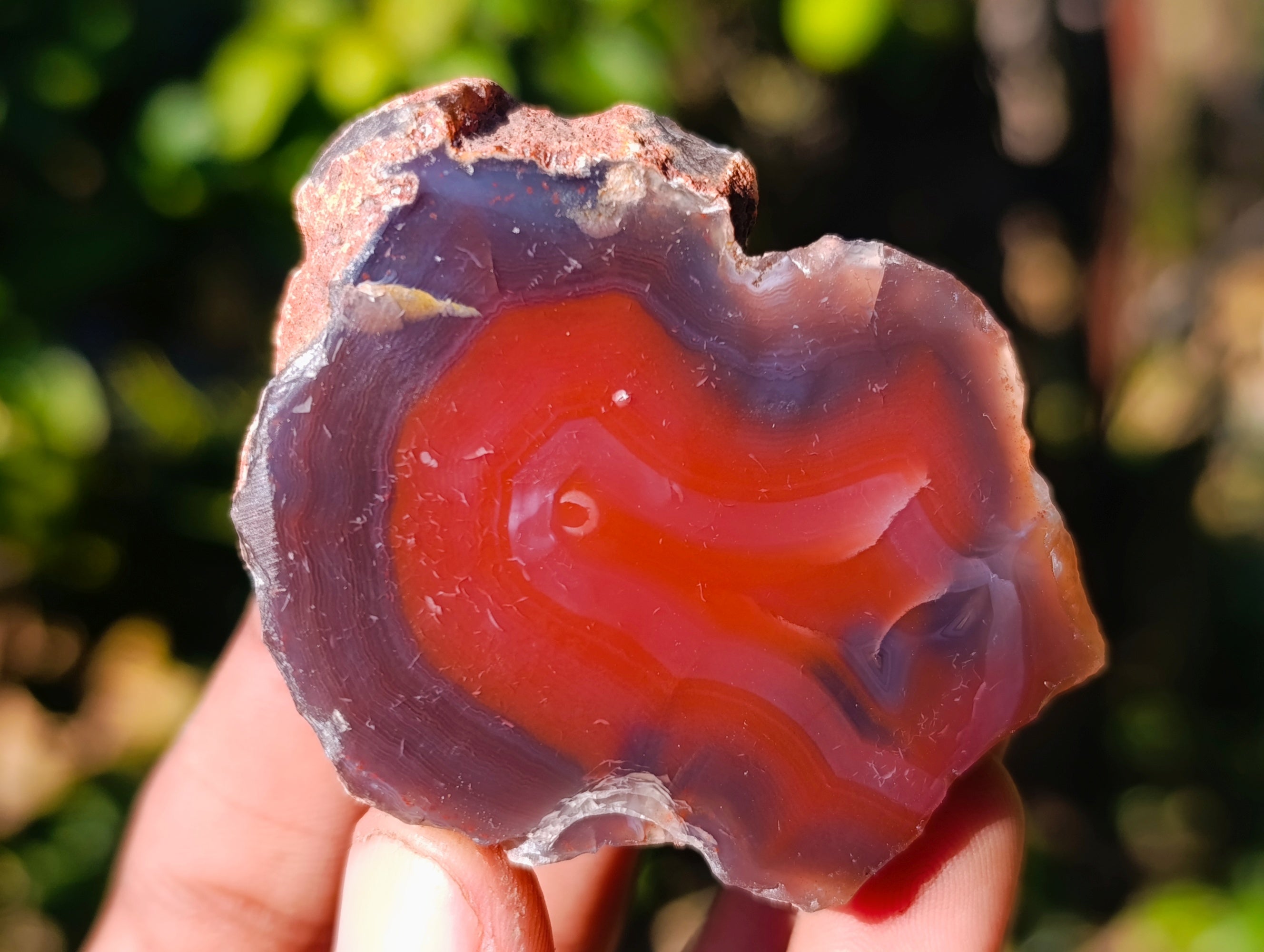 Polished On One Side Red Sashe River Agate Nodules x 35 From Zimbabwe - Toprock Gemstones and Minerals 