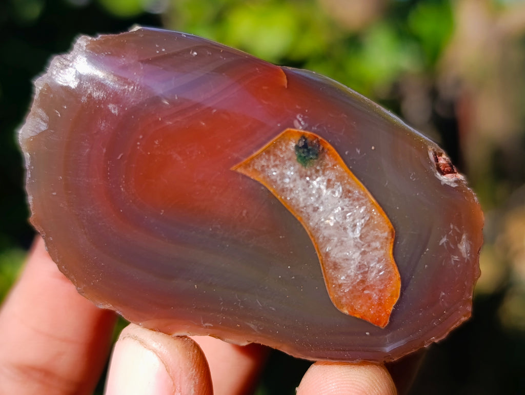 Polished On One Side Red Sashe River Agate Nodules x 35 From Zimbabwe - Toprock Gemstones and Minerals 