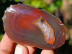 Polished On One Side Red Sashe River Agate Nodules x 35 From Zimbabwe - Toprock Gemstones and Minerals 