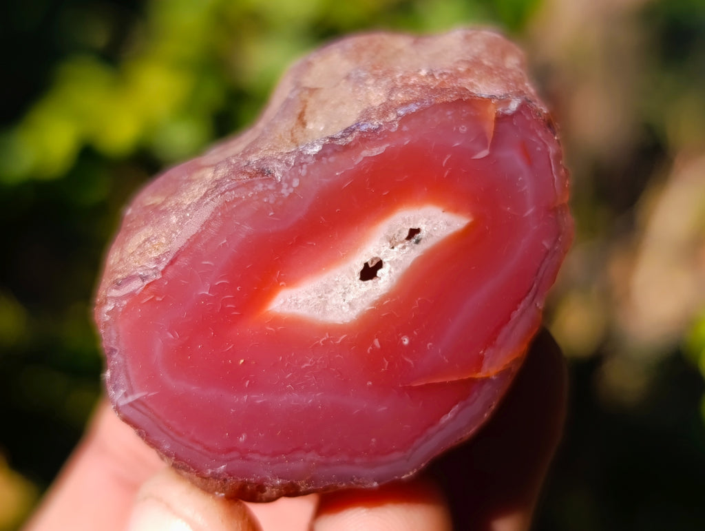 Polished On One Side Red Sashe River Agate Nodules x 35 From Zimbabwe - Toprock Gemstones and Minerals 
