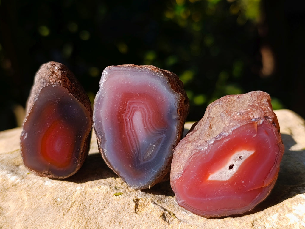 Polished On One Side Red Sashe River Agate Nodules x 35 From Zimbabwe - Toprock Gemstones and Minerals 