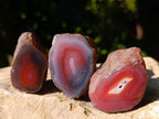 Polished On One Side Red Sashe River Agate Nodules x 35 From Zimbabwe - Toprock Gemstones and Minerals 