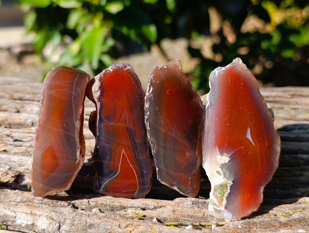 Polished On One Side Red Sashe River Agate Nodules x 35 From Zimbabwe - Toprock Gemstones and Minerals 