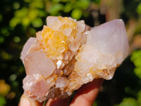 Natural Amethyst Spirit Quartz Clusters x 12 From Boekenhouthoek, South Africa - Toprock Gemstones and Minerals 