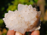 Natural Amethyst Spirit Quartz Clusters x 12 From Boekenhouthoek, South Africa - Toprock Gemstones and Minerals 