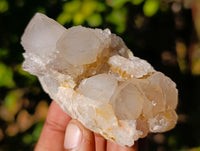 Natural Amethyst Spirit Quartz Clusters x 12 From Boekenhouthoek, South Africa - Toprock Gemstones and Minerals 