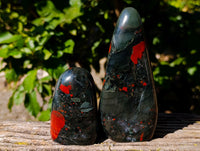 Polished Bloodstone Standing Free Forms x 3 From Swaziland