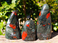 Polished Bloodstone Standing Free Forms x 3 From Swaziland